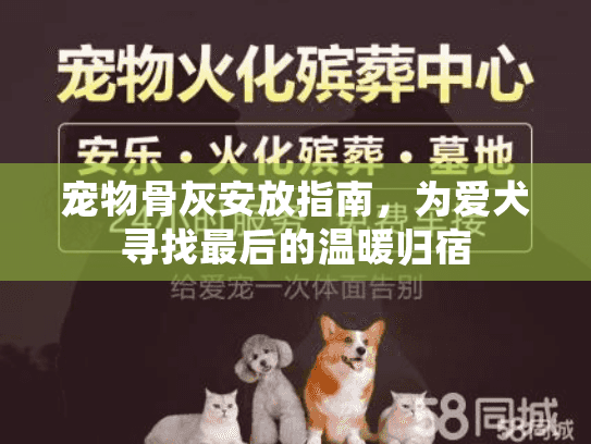 宠物骨灰安放指南，为爱犬寻找最后的温暖归宿