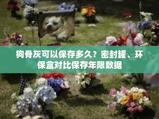 狗骨灰可以保存多久？密封罐、环保盒对比保存年限数据