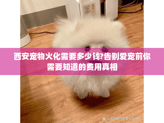 西安宠物火化需要多少钱?告别爱宠前你需要知道的费用真相