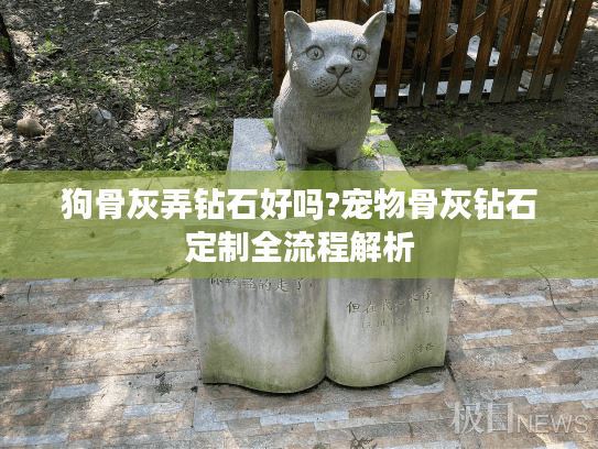 狗骨灰弄钻石好吗?宠物骨灰钻石定制全流程解析