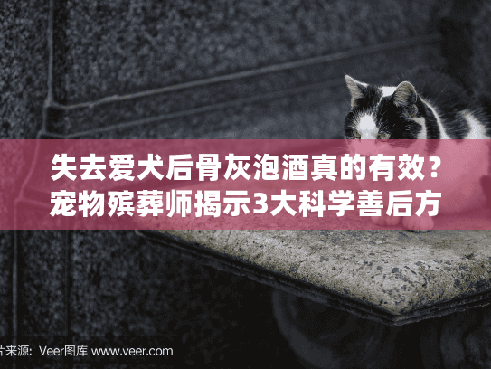 失去爱犬后骨灰泡酒真的有效？宠物殡葬师揭示3大科学善后方式