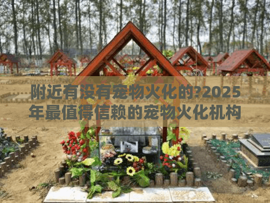 附近有没有宠物火化的?2025年最值得信赖的宠物火化机构推荐