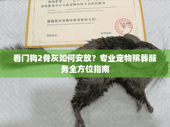 看门狗2骨灰如何安放？专业宠物殡葬服务全方位指南