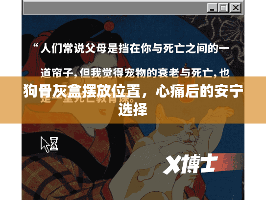 狗骨灰盒摆放位置，心痛后的安宁选择