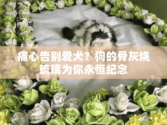 痛心告别爱犬？狗的骨灰烧琉璃为你永恒纪念