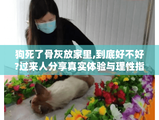 狗死了骨灰放家里,到底好不好?过来人分享真实体验与理性指南