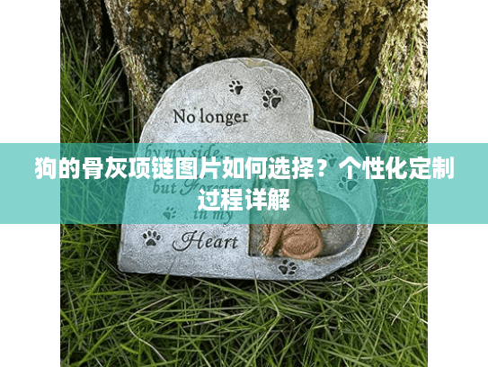 狗的骨灰项链图片如何选择？个性化定制过程详解