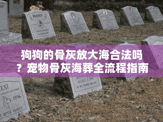 狗狗的骨灰放大海合法吗？宠物骨灰海葬全流程指南及情感抚慰解读