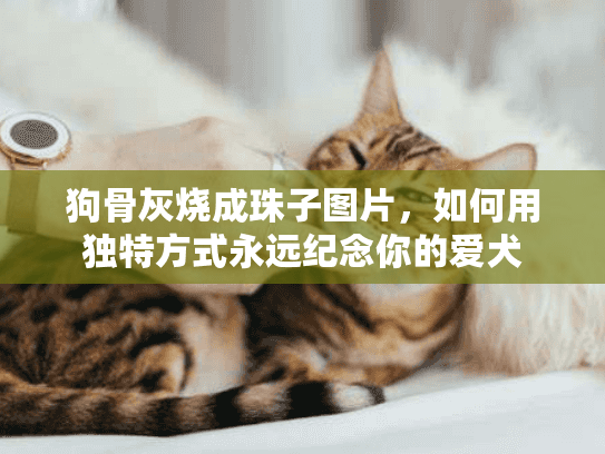 狗骨灰烧成珠子图片，如何用独特方式永远纪念你的爱犬