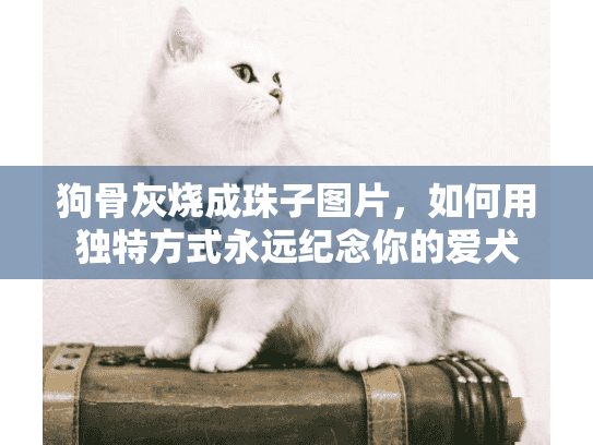 狗骨灰烧成珠子图片，如何用独特方式永远纪念你的爱犬