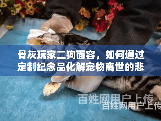 骨灰玩家二狗面容，如何通过定制纪念品化解宠物离世的悲伤？
