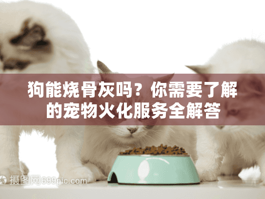 狗能烧骨灰吗？你需要了解的宠物火化服务全解答