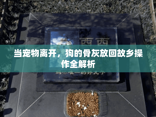 当宠物离开，狗的骨灰放回故乡操作全解析