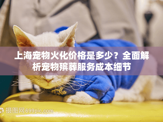 上海宠物火化价格是多少？全面解析宠物殡葬服务成本细节