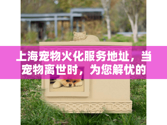 上海宠物火化服务地址，当宠物离世时，为您解忧的专业地点指南
