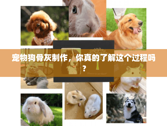 宠物狗骨灰制作，你真的了解这个过程吗？