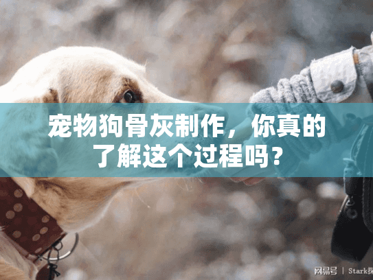 宠物狗骨灰制作，你真的了解这个过程吗？