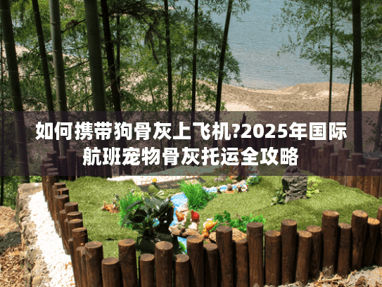 如何携带狗骨灰上飞机?2025年国际航班宠物骨灰托运全攻略