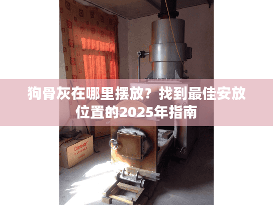 狗骨灰在哪里摆放？找到最佳安放位置的2025年指南