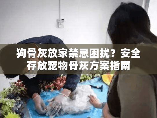 狗骨灰放家禁忌困扰？安全存放宠物骨灰方案指南