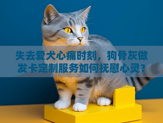 失去爱犬心痛时刻，狗骨灰做发卡定制服务如何抚慰心灵？