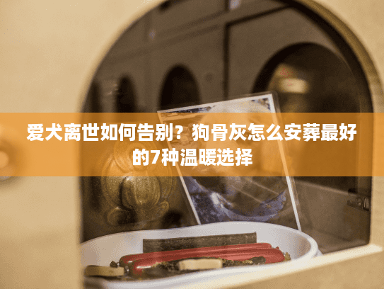 爱犬离世如何告别？狗骨灰怎么安葬最好的7种温暖选择