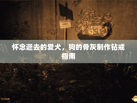 怀念逝去的爱犬，狗的骨灰制作钻戒指南