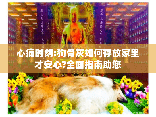 心痛时刻:狗骨灰如何存放家里才安心?全面指南助您