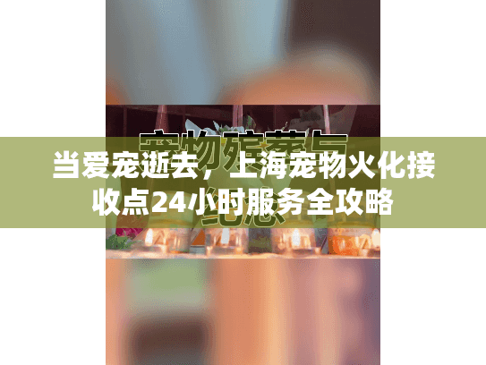 当爱宠逝去，上海宠物火化接收点24小时服务全攻略