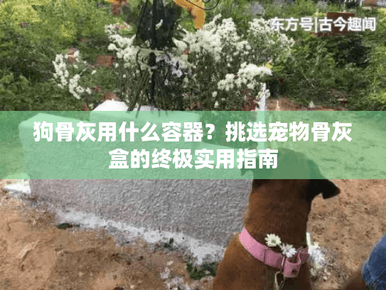 狗骨灰用什么容器？挑选宠物骨灰盒的终极实用指南