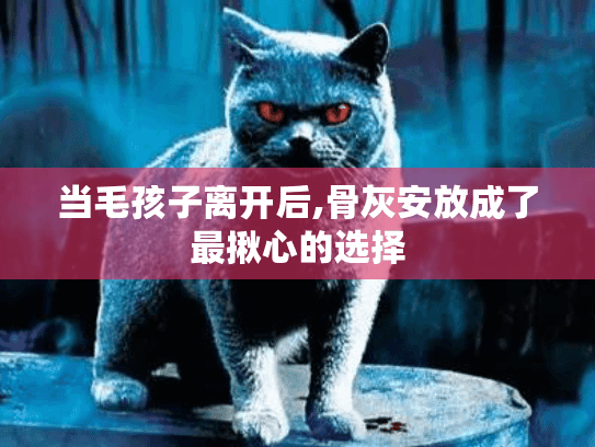 当毛孩子离开后,骨灰安放成了最揪心的选择