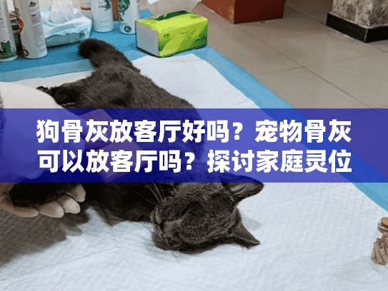 狗骨灰放客厅好吗？宠物骨灰可以放客厅吗？探讨家庭灵位布置的讲究