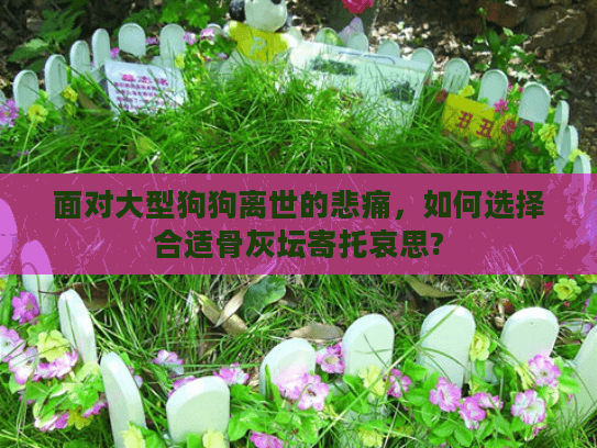 面对大型狗狗离世的悲痛，如何选择合适骨灰坛寄托哀思?