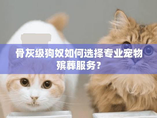 骨灰级狗奴如何选择专业宠物殡葬服务？