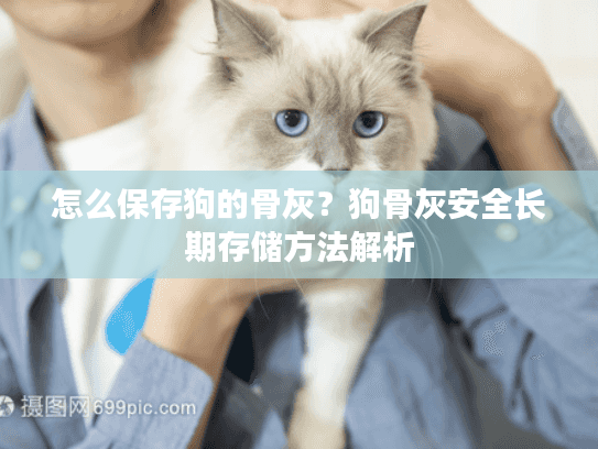 怎么保存狗的骨灰？狗骨灰安全长期存储方法解析