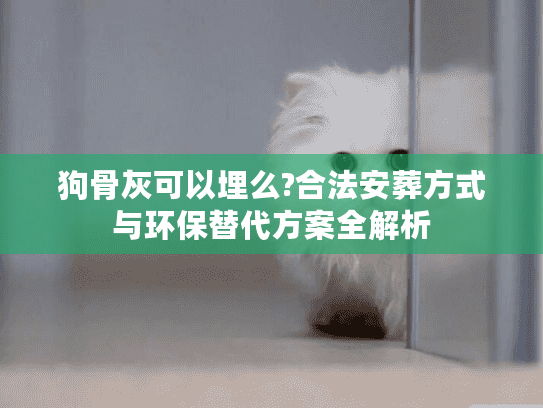 狗骨灰可以埋么?合法安葬方式与环保替代方案全解析