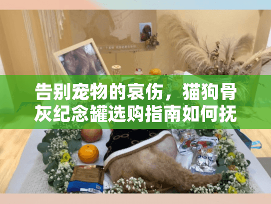 告别宠物的哀伤，猫狗骨灰纪念罐选购指南如何抚慰心灵？