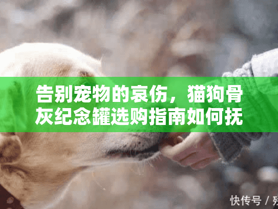告别宠物的哀伤，猫狗骨灰纪念罐选购指南如何抚慰心灵？
