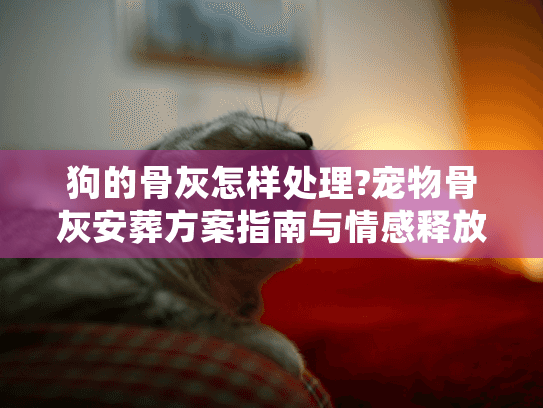 狗的骨灰怎样处理?宠物骨灰安葬方案指南与情感释放