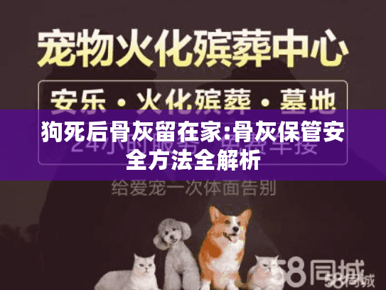 狗死后骨灰留在家:骨灰保管安全方法全解析