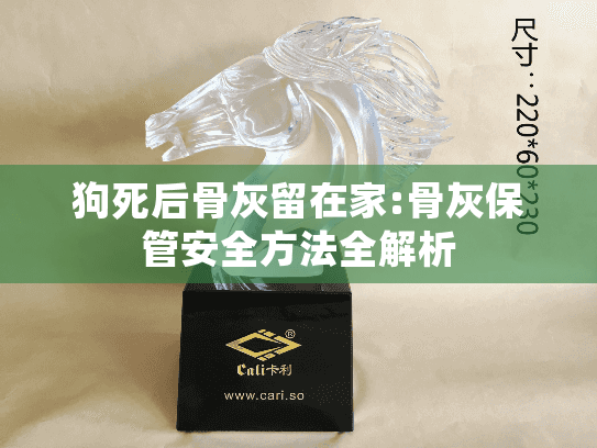 狗死后骨灰留在家:骨灰保管安全方法全解析