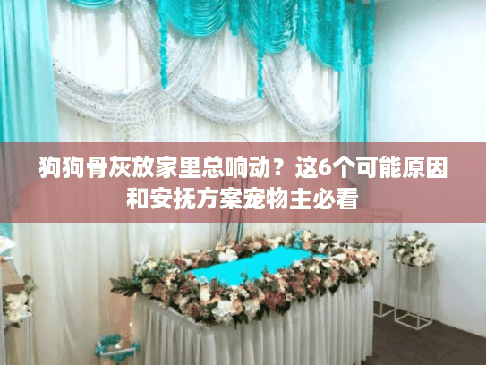 狗狗骨灰放家里总响动？这6个可能原因和安抚方案宠物主必看
