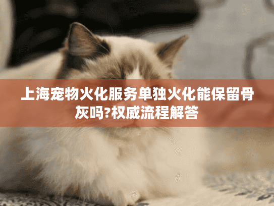 上海宠物火化服务单独火化能保留骨灰吗?权威流程解答