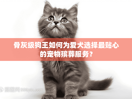 骨灰级狗王如何为爱犬选择最贴心的宠物殡葬服务？