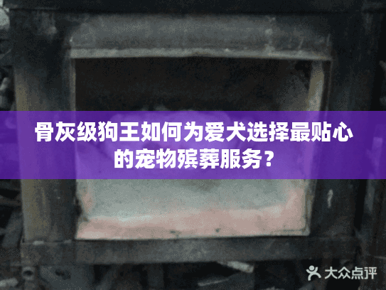 骨灰级狗王如何为爱犬选择最贴心的宠物殡葬服务？