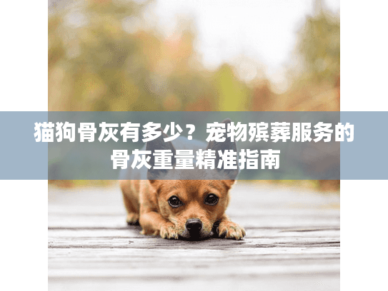 猫狗骨灰有多少？宠物殡葬服务的骨灰重量精准指南