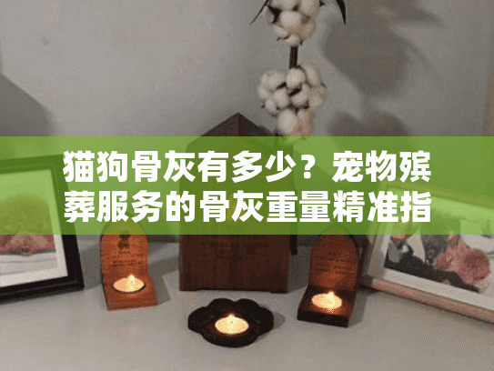 猫狗骨灰有多少？宠物殡葬服务的骨灰重量精准指南