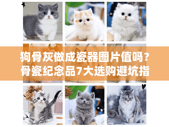 狗骨灰做成瓷器图片值吗？骨瓷纪念品7大选购避坑指南(附实拍图)