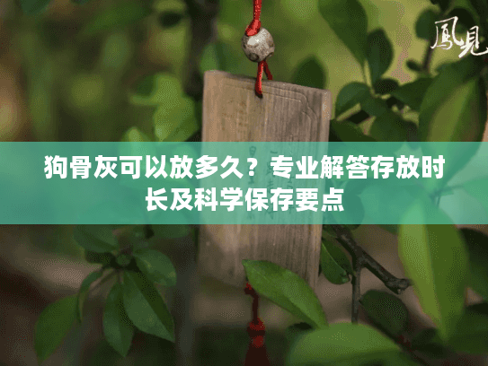 狗骨灰可以放多久？专业解答存放时长及科学保存要点
