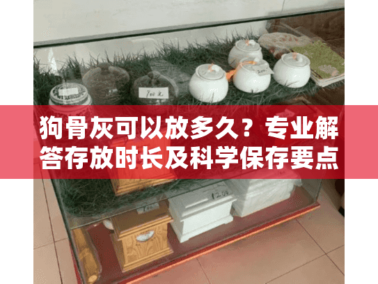 狗骨灰可以放多久？专业解答存放时长及科学保存要点